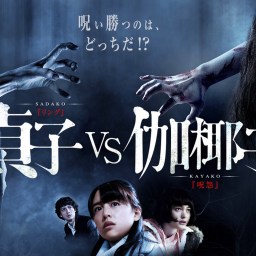 Sadako vs Kayako